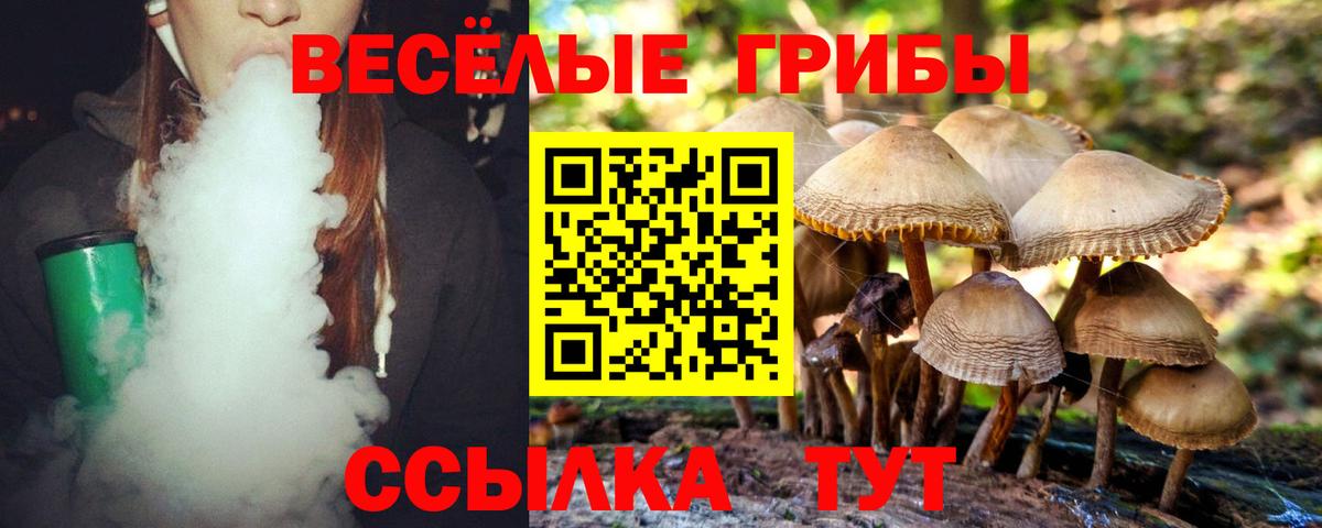 Кисловодск  Псилоцибиновые грибы Psilocybine cubensis  Вход с VPN  Псилоцибиновые грибы прущие грибы 